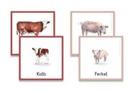 Словарь иностранных слов русского языка. 39 Memory Tiere Ausdrucken Besten Bilder Von Ausmalbilder