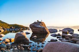 Sally, summer and reno have been missing for a year now. Things To Do In Reno Tahoe During Summer Reno Family Dentists