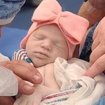 Brooklynn Dawn Johnston Obituary