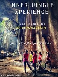 Gua kepayang (gua kepayang) на wikipedia. The Concluded 2d1n Inner Jungle My Back To Nature Facebook