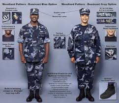Pin By Josh Cowles On Hello Navy Navy Dress Uniforms Navy Uniforms Navy Blue Dresses