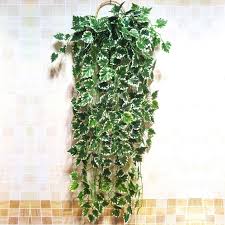 Le piante grasse pendenti sono specie vegetali impiegate a scopo ornamentale. Piante Finte Da Esterno Piante Finte Piante Da Esterno Artificiali