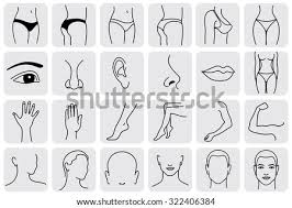 I came up with the original methods in. Parts Of The Body Drawing At Getdrawings Free Download