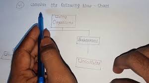 Science 2 Ebalbharti In Question Papar Solution Q 1 Youtube Jac 12th model paper 2021 has. science 2 ebalbharti in question papar solution q 1