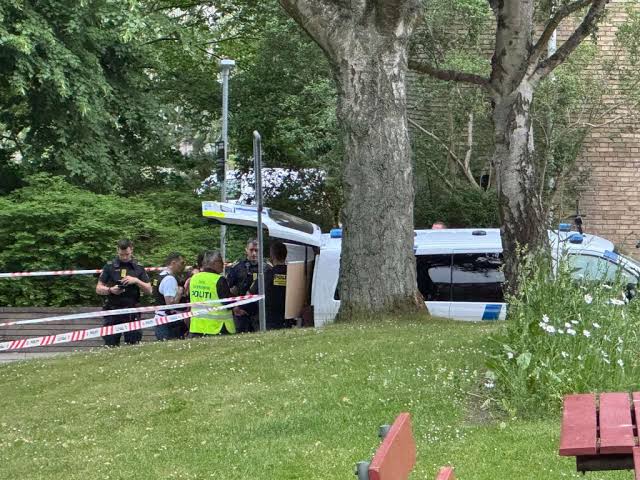 Chokerende sag: Mor tiltalt for årelang mishandling af sine tre børn
