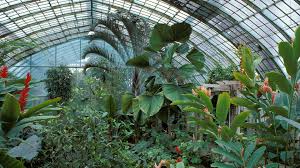 Le jardin botanique a été créé en 1766. Les 6 Plus Belles Serres De Paris Vogue Paris