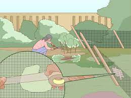 These differences play out in everything from their appearance to their behavior. How To Rattlesnake Proof A Backyard 13 Steps With Pictures
