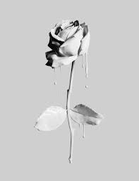 Josh Caudwell Luxury Product Photographer Pretty Wallpapers Homescreen Wallpaper Beauty Art Drawings