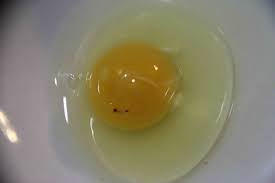 A day is counted as a full 24 hours, so day one would be the first 24 hours after setting the egg. How Many Eggs Backyard Chicken Eggs Urban Chicks Ichicken