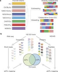 Clarification on the utilization of credit standing in the share premium accounts and the capital redemption reserves under section 618. Defining The Consequences Of Genetic Variation On A Proteome Wide Scale Nature