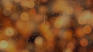 Can you put scented water in steam mops steam cleaner pro. Does Heat Kill Fleas Pestmtds