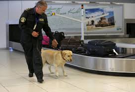 Картинки по запросу порушень митних правил