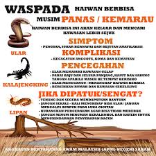 Serangga ini mudah masuk dalam rumah kerana bentuknya badannya yang leper dan mudah melalui kawasan yang rendah atau lubang yang kecil. Cuac Angkatan Pertahanan Awam Malaysia Apm Negeri Sabah Facebook