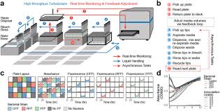 Iswap and boko haram have been fighting for dominance in northern nigeria. Flexible Open Source Automation For Robotic Bioengineering Biorxiv