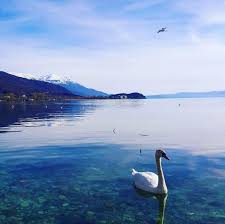 Путешествие из охрида в скопье через затонувшую церковь в. Villa Zaricin Ohrid Obnovlennye Ceny 2021 Goda