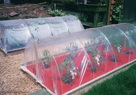 Whether your garden is indoors or out, in pots or in plots, our comprehensive selection of garden tools and supplies is designed to meet your needs. Our Favorite Lee Valley Garden Tools