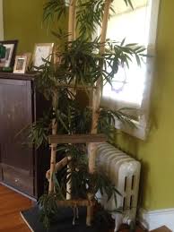 Yaheetech cat tree play house condo. Kitty Tree Made From Bamboo Real Trunk Fake Leaves Scraps From A Installation My Husband Was On Diy And Crafts Cat Condo Cat Tree