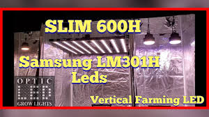 We did not find results for: Slim 600h Led Grow Light Vertical Farming Led Samsung Lm301h Cree Xpe Leds Youtube