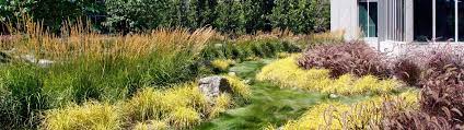 See the top landscapers near you. Jensen Landscape Linkedin