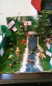 Biome In A Box Tropical Rainforest My Niece Tropical Rainforest Biome She Received A B Grade Rainforest Project Rainforest Biome Rainforest Animals