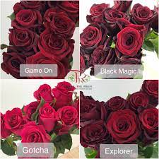 pin on rose eu