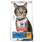 Science Diet Oral Care Adult Cat Food - Chicken 7lb Hills