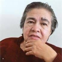 Delfina Lopez Obituary (2024)