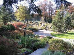Jardin D Altitude Du Haut Chitelet A Xonrupt Longemer Dans Les Vosges Le Jardin Offre Un Tour Du Monde Des Plantes Vosges Tour Du Monde Environnement Naturel