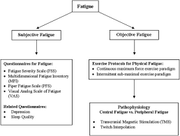 The molecular pathophysiology of autoinflammatory disease. Fatigue In Amyotrophic Lateral Sclerosis Musculoskeletal Key