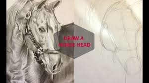 Learn how to draw horse realistic pictures using these outlines or print just for coloring. Drawing A Realistic Horse Head With Pencil Realistic Horse Drawing Video Art Drawing Youtube