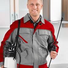 #1 in pest control in knoxville, termite treatment, bed bug removal, termite control, and termite inspections. Omega Termite And Pest Control Exterminators Who Proudly Serve Nashville White House And The Surrounding Area