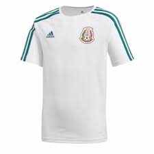 Cometar que mi playera llego el dia de hoy , el correo de confirmación tambien me llego el mismo dia de hoy por la mañana , yo me registre el 2 de mayo y hoy 12 de mayo llego , samsug si cumple !!! Playera Adidas Segundo Uniforme Seleccion Nacional De Mexico Seguidores Jovenes Sears