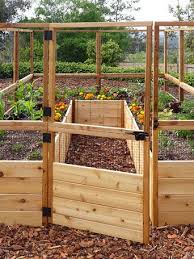 Raised Garden Bed 8 X8 Or 8 X12 With Deer Fence Kit Gardener S Supply In 2020 Diy Raised Garden Garden Bed Layout Cedar Raised Garden