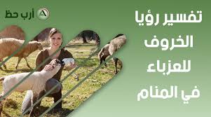 رؤية التمساح في منام العزباء يرمز الي القلق والفزع اتجاة موضوع يشغل تفكيرها كما انة يرمز الي الخوف من المسؤلية. ØªÙØ³ÙŠØ± Ø­Ù„Ù… Ø§Ù„Ø®Ø±ÙˆÙ ÙƒÙ„ Ù…Ø§ ÙŠØªØ¹Ù„Ù‚ Ø¨Ø±Ø¤ÙŠØ© Ø§Ù„Ø®Ø§Ø±ÙˆÙ ÙÙŠ Ø§Ù„Ù…Ù†Ø§Ù… Ø§Ø±Ø¨ Ø­Ø¸