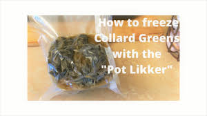 Cooked collard greens last up to a week when you keep them in the fridge. Question How Long Can Cooked Collard Greens Last