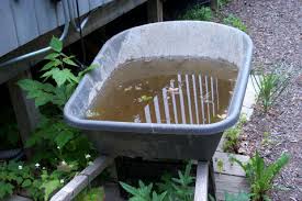 Standing Water