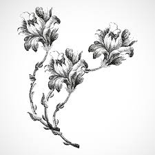 Flores Del Ramo Del Lirio De La Vendimia En Fondo Negro Ilustracion Boceto Realista Ilustraciones Vectoriales Clip Art Vectorizado Libre De Derechos Image 49330583 Camina hacia la sala, y de inmediato logra ver a su padre con ese ramo de flores. lirio de la vendimia en fondo negro
