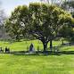 Friday - Nature Play, Crafts, & Music @ San... event in Rancho Santa Fe, CA