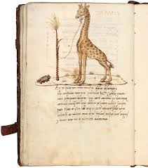 Today we take a look at 2 very nice mods. 3 Real Or Imagined Exotic Animals In Piero Di Cosimo S Mythologies 60 In Piero Di Cosimo