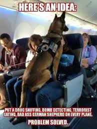 Funny Animal Pictures Of The Day 22 Pics Funny Animal Pictures Funny Dogs Funny Animals