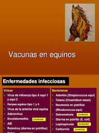 Se han incluido nuevos apartados, como aplicación de vacunas, prescripción y registro, así como datos de coberturas del año anterior, con el fin de realzar la importancia de estos puntos sumamente relevantes en la vacunación. Calendario Ekino Vacunas Medicina