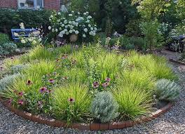 Pin Von Karolcia Auf Ogrod Garten Pflanzen Garten Pflanzen