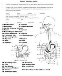 Coloring football child, the most vital idea of football remains the specific very same. 120 Best Study Worksheets Health Ideas Human Anatomy And Physiology Anatomy And Physiology Anatomy