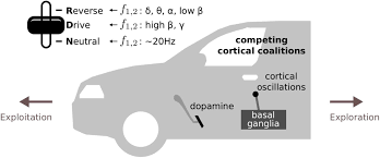 Check spelling or type a new query. Assessing Selectivity In The Basal Ganglia The Gearbox Hypothesis Biorxiv