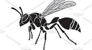 All Black Bug That Looks Like A Wasp Vector Of A Wasp Insect Wasp Tattoo Wasp Insects