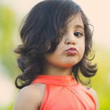 Samee Ahmed Photography in Royal Market,Bhopal