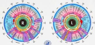 Image Result For Eye Health Chart