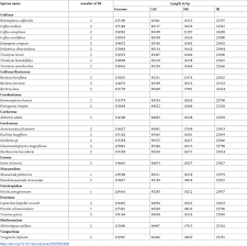 Image result for Pseudomussaenda stenocarpa