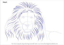 Maybe you would like to learn more about one of these? Learn How To Draw A Lion S Face Big Cats Step By Step Drawing Tutorials
