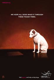 Image result for "francis barraud"